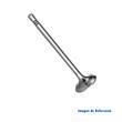 VALVULA ADMISION MOTOR ORIGINAL MAHLE