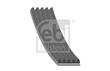CORREA ALTERNADOR ALTERNAT.