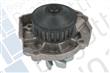 BOMBA AGUA MOTOR CERTIFIC. BUGATTI