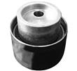 RODAMIENTO TENSOR ALTERNAT.