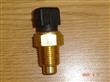 BULBO TEMPERATURA ALTERNAT. MTE-THOMSON