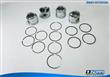 PISTONES MOTOR JUEGO ALTERNAT. PERSAN