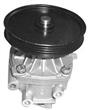 BOMBA AGUA MOTOR