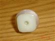 BROCHE ALTERNAT.
