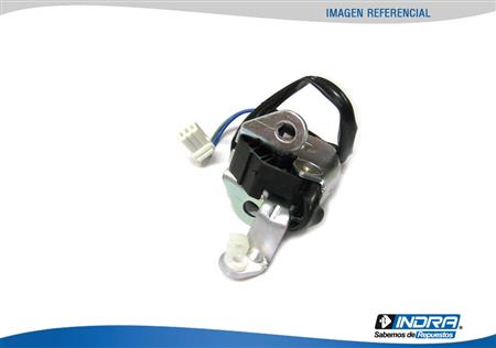 CERRADURA PORTON GENUINO