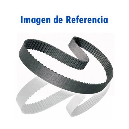 CORREA DISTRIBUCION GENUINO