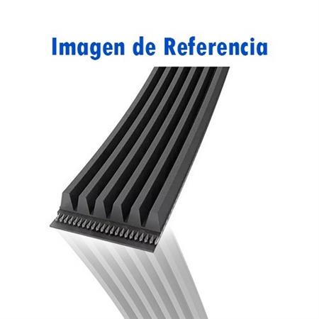 CORREA ALTERNADOR CERTIFIC.